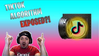 I Cracked the TikTok Algorithm....