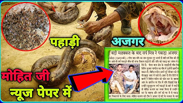 पहाड़ी अजगर सांप का रेस्क्यू वीडियो गोरखपुर / India Rock Paython / Viral Video /#snake #paython #nag