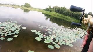 Download lagu Jackall Dowz Jerk 190 action very good