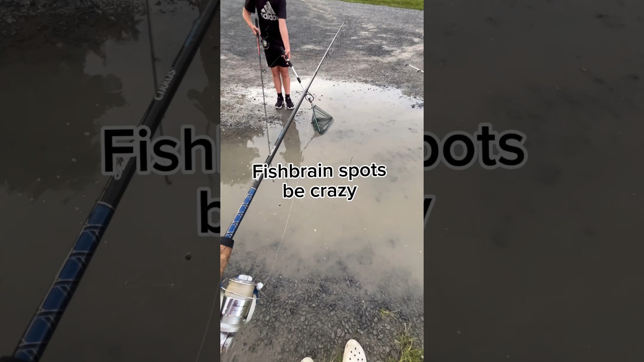 Fishbrain has the weirdest spots 
