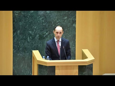 პარლამენტში ეკონომიკის მინისტრის ანგარიში მოისმინეს