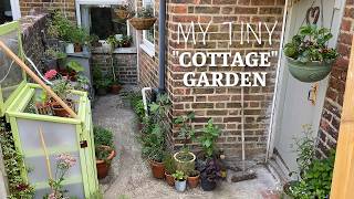 Our Tiny Town Garden in Full Bloom | A Wildlife-Friendly Garden Tour