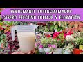 FERTILIZANTE POTENCIALIZADOR CASERO EFECTIVO PARA UNA FLORACIÓN Y FOLLAJE EXCELENTES/Liliana Muñoz