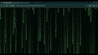 Efecto Matrix (Código y ejecución)