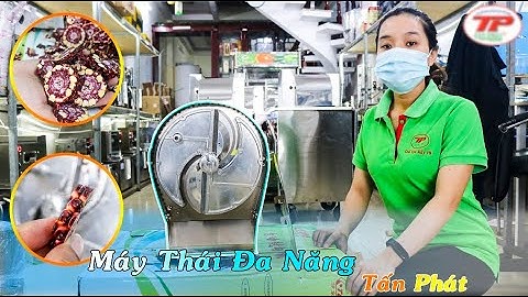 Máy thái lát 2 chức năng , thái lát rau củ công nghiệp | Xưởng SX & CT Tấn Phát