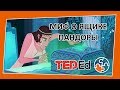 🔶 Миф о ящике Пандоры [TED-Ed на русском]