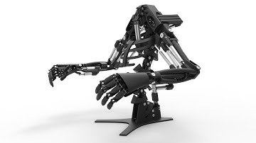 The New Youbionic One