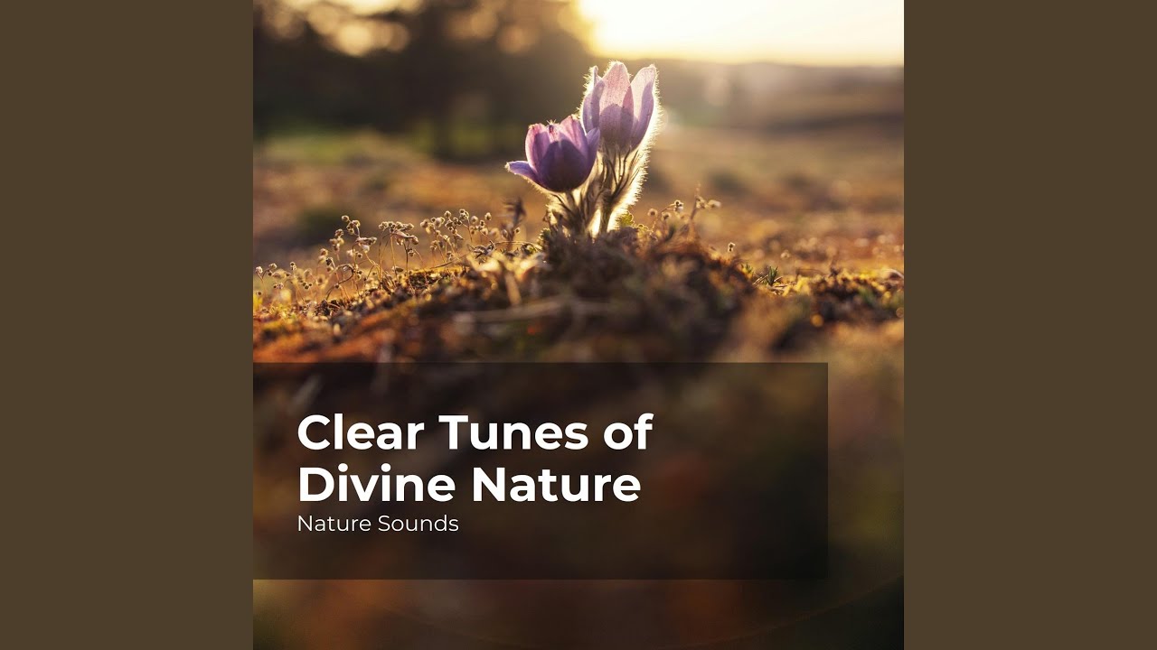 Clear Tunes of Divine Nature
