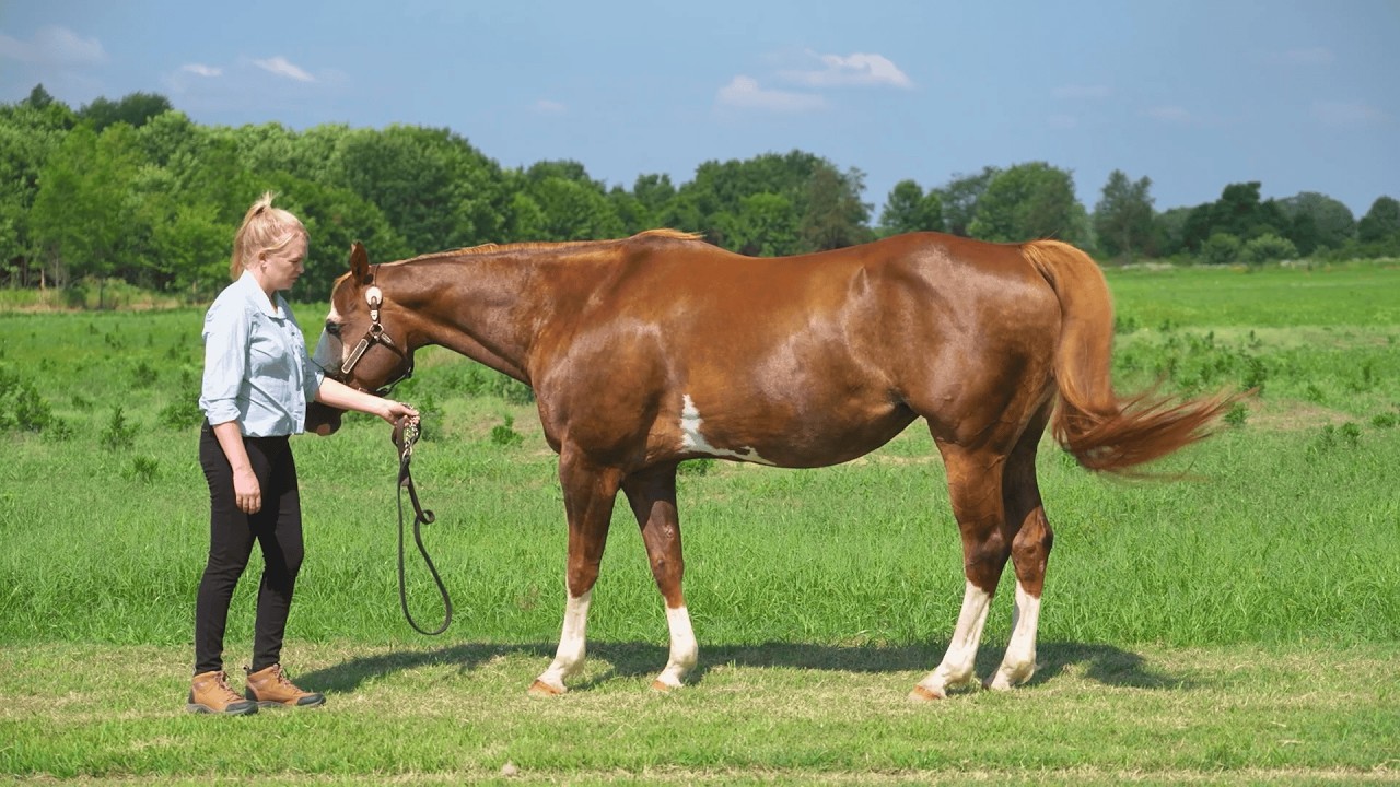 Video - Show Your Students There's a Real Person Behind the Screen