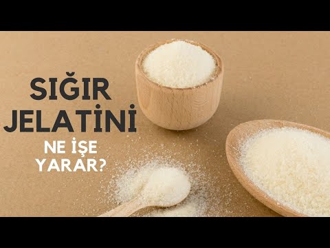 Sığır Jelatini Ne İşe Yarar? #ModernAktar #SığırJelatini