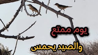 صيد الدخل ما ينمل منه | الشحيمي 👍