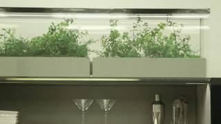 Ideas That Matter: The Hidden Kitchen