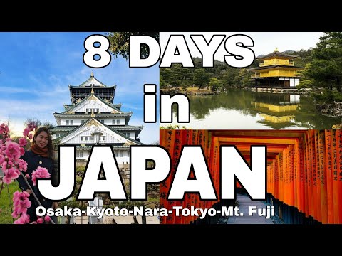 Wideo: Tokyo Travel Guide: Gdzie Zjeść, Napić Się, Zatrzymać Się I Robić Zakupy