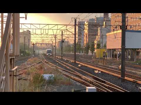 E261系　サフィール踊り子2号3002M 藤沢駅通過（ミュージックホーン・空笛有）