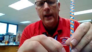 DNA model lab instructions