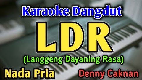 LDR - KARAOKE || NADA PRIA COWOK || Langgeng Dayaning Rasa || Versi Koplo Pargoy || Denny Caknan