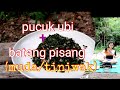 PUCUK UBI+BATANG PISANG(muda/tiniwak)-mixMJ