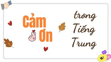 Cảm Ơn Tiếng Trung - Giao Tiếp Hằng Ngày Cho Người Mới