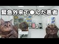 【猫ミーム】●は唐突に訪れるもの・・・葬儀社にアルバイトとして勤めていたお話その70