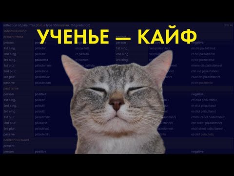 Язык за месяц: как я это сделал