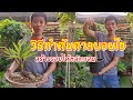 วิธีทำต้นตาลบอนไซ ทุนศูนย์บาทสร้างรายได้หลักแสน | เอิร์ธสดชื่น