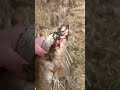 BIGGEST CATCH in our fishing #asmr #fishing #trip #chill #nature