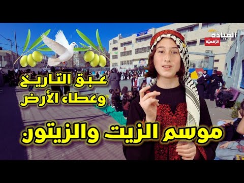 موسم الزيت والزيتون عبق التاريخ وعطاء الأرض