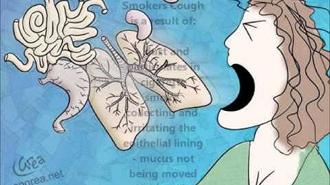 GCSE OCR Gateway B1 Revision