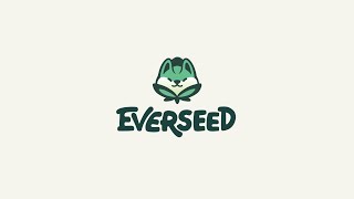 How to Play Everseed - Deep Dive