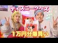 可愛すぎるディズニーグッズがあったので1万円分爆買いしてきた！！