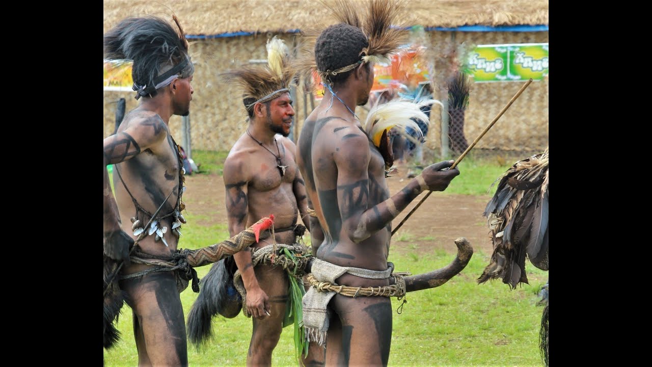 Traditional Penis Gourds Worn by Tribal Dancers in Papua New Guinea