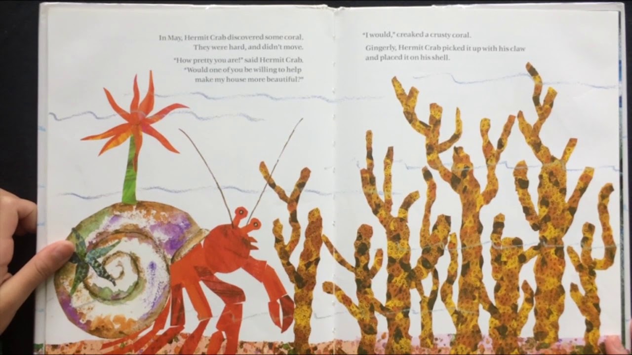 A house for crab YouTube