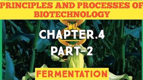 TN 12th bio botany chapter-4 Principle and processes of biotechnology (FERMENTATION)