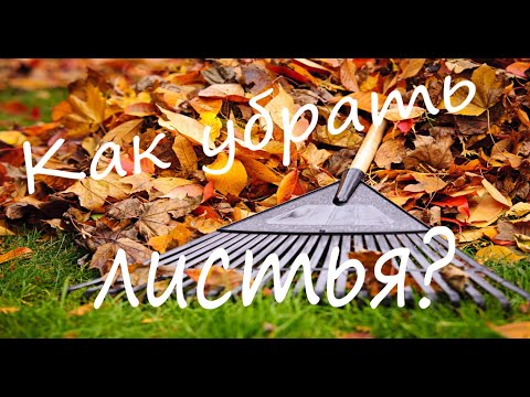 Простой и быстрый способ уборки листвы / How to remove leaves in autumn