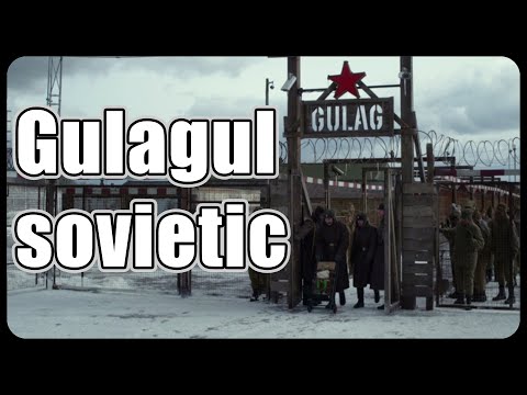 Video: Povestea stejarului care împușcă