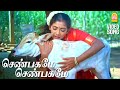 Shenbagame shenbagame  sad song   enga ooru pattukaran  ilaiyaraaja