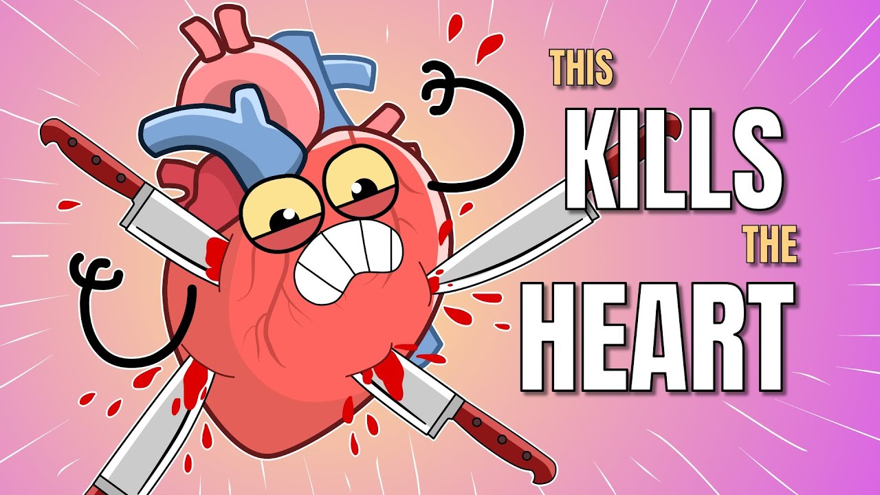 The Heart Attack Conspiracy Inside Your Body | Animation | Bright Body and Brain