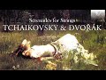 Tchaikovsky &amp; Dvořák: Serenades for Strings