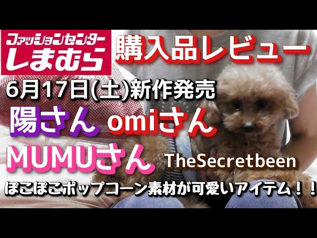 Purchased by Shimamura] - YouTube