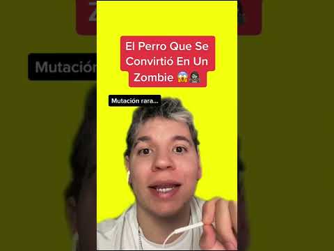 Video: Ayuda con mi perro que come Deer Poo