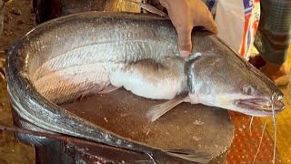 Amazing Giant Wallago Attu Catfish Cutting Skills Live In Fish Market | Boal Fish Cutting