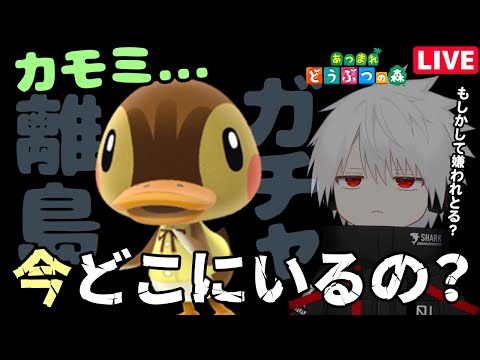 カモミを探しに離島へ行こう...【あつ森】〈あつまれどうぶつの森 / 離島ガチャ / 雑談 / 住民厳選 / ACNH / 初見さん大歓迎〉