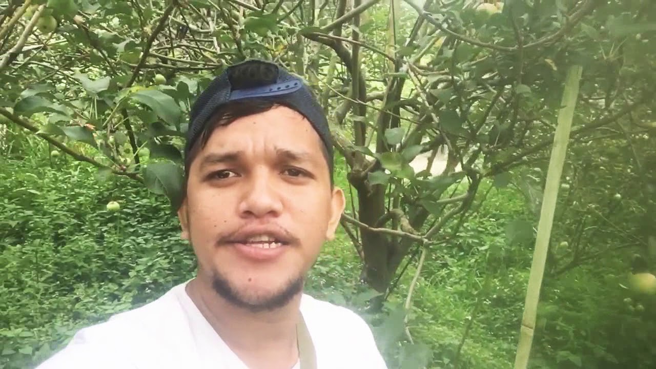 Indahnya pemandangan 