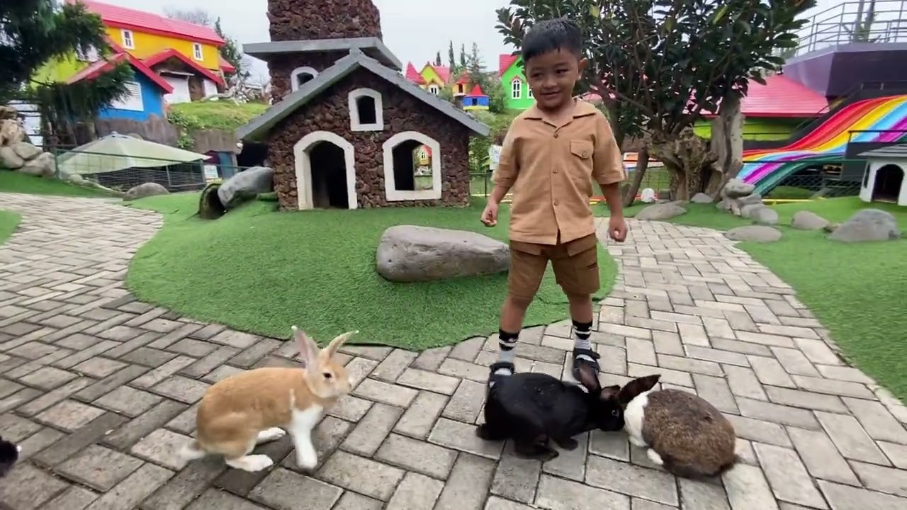 Kasih makan kelinci di Lembang