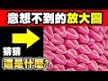 10張極度驚人的顯微照片｜你絕對不敢相信人身上的部位放大後竟然這麼嚇倫！（看完不敢用衛生紙了）