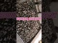 500 to 600kg/h cashew sheller machine in Nigeria
