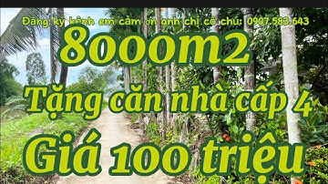 Bể nợ bán gấp 8000m2 đất ruộng mặt tiền đường dal tặng căn nhà cấp 4 giá 100 triệu/1000m2 kiên Giang