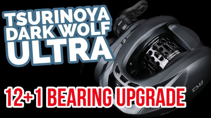 Is UPGRADING A CHEAP Fishing Reel Worth It? 