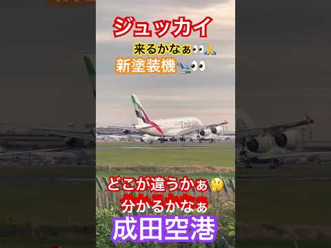 エミレーツ　新塗装機　どこが違うかなぁ🤔#shorts #成田空港 #エミレーツ航空 #新塗装機 #loveflightjack