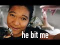 Feeding all my pets my axolotl bit me